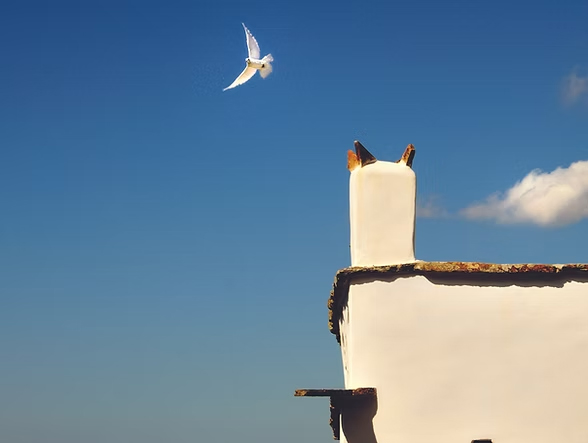 Tinos island-Culture Tinos island-Culture